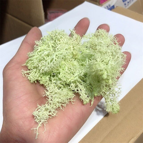 YO CHO Preserved Flower Moss Artificial Dried Flowers Moss Grass Basket Plants Home Garden Garland Wedding Party DIY Decorations