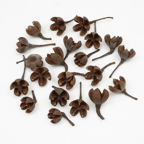 HUADODO 20Pieces Natural Dried flowers Pine cone Acorn Artificial Flower For Home Christmas DIY Garland Wreath Decoration