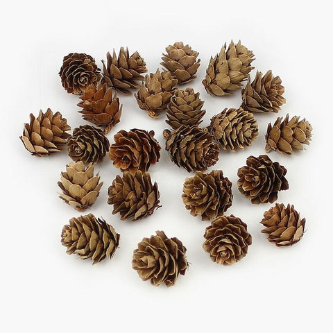 HUADODO 20Pieces Natural Dried flowers Pine cone Acorn Artificial Flower For Home Christmas DIY Garland Wreath Decoration