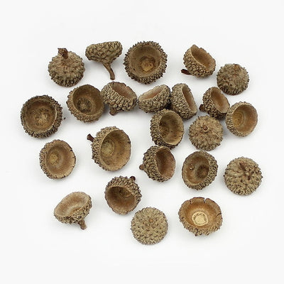 HUADODO 20Pieces Natural Dried flowers Pine cone Acorn Artificial Flower For Home Christmas DIY Garland Wreath Decoration