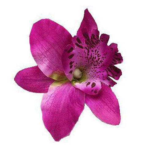 1PC Handmade Chic Thailand Orchid Flower Hair Clip Women Charm Hairpins Barrette Fashion Hairgrip DIY Girls Hair Accessories