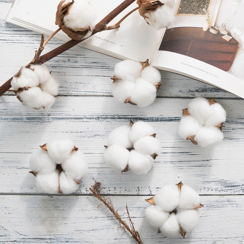 White Cotton Head Artificial Flowers DIY Christmas Wreath Accessories Home Natural Dried Flower Garland Flower Wall Material